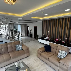 Montenegro Boulevard (5)