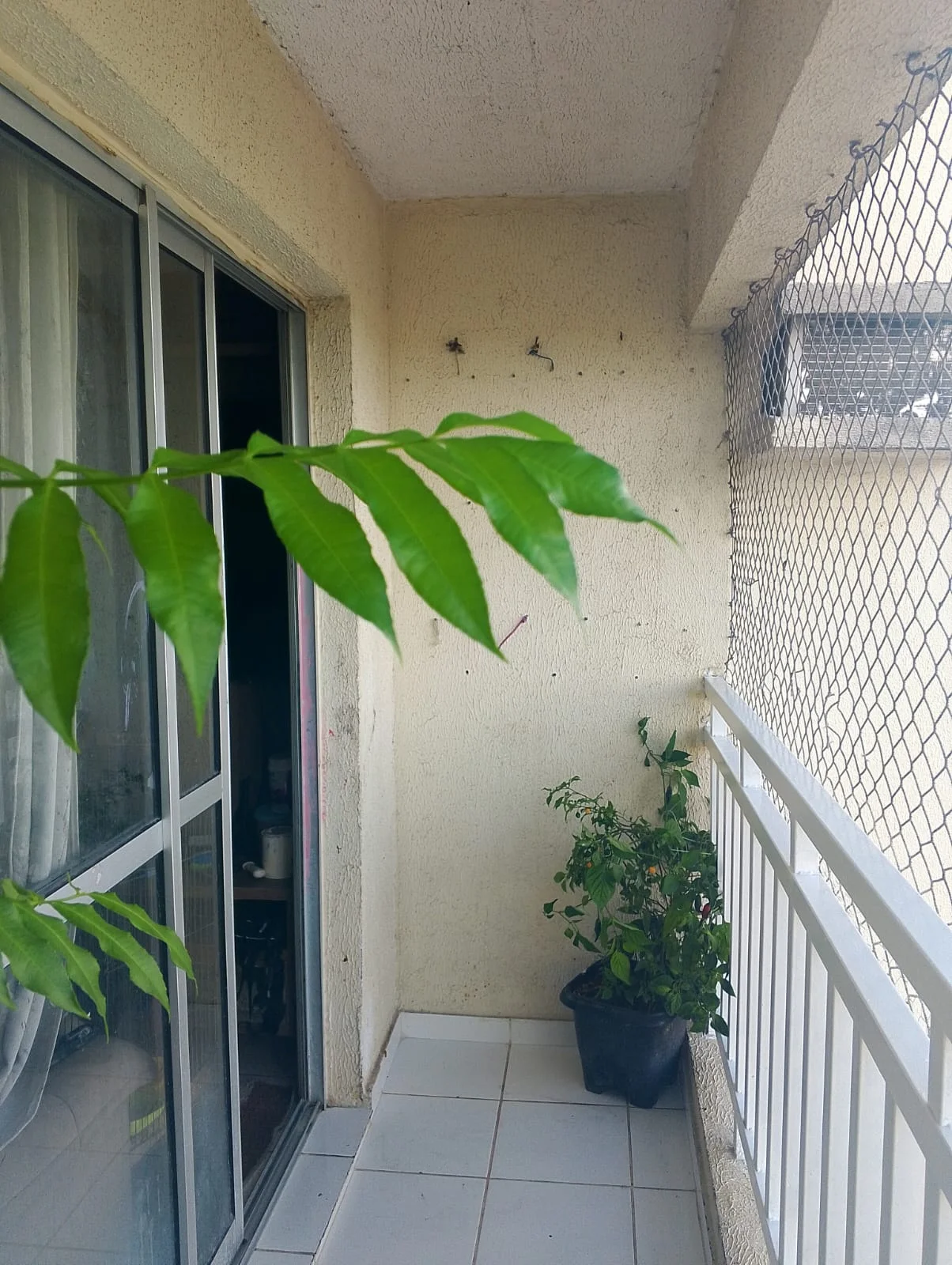 Fotografia_Cozinha_5897_2