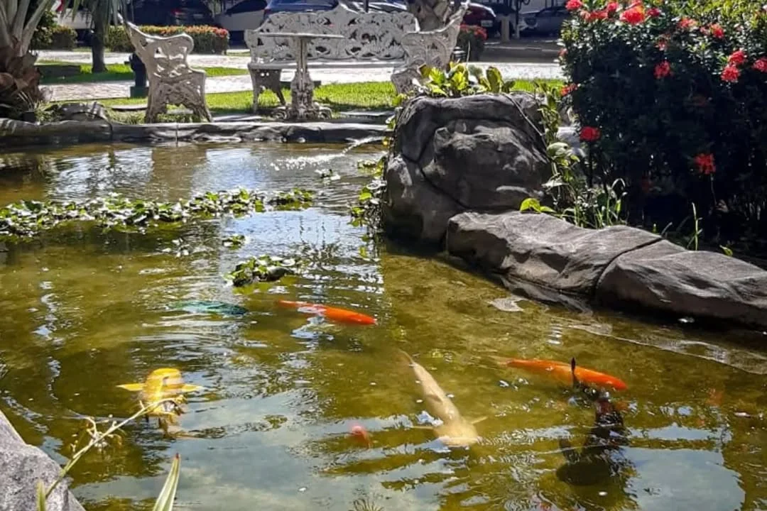 Fotografia_Cozinha_5973_1