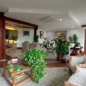 Ed. Dulce Miranda (6170)